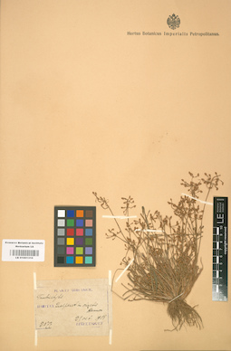LE 01001310