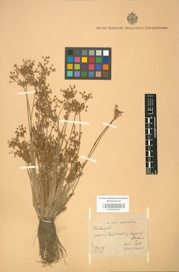 LE 01001311