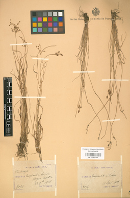 LE 01001313