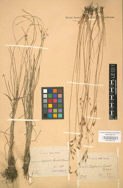 LE 01001314