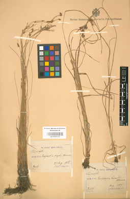 LE 01001315