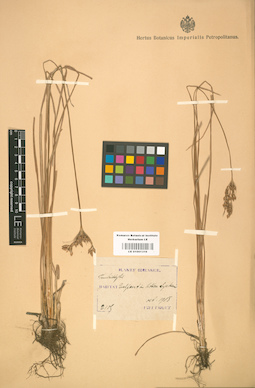 LE 01001316
