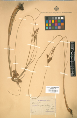 LE 01001317