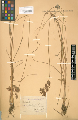 LE 01001318