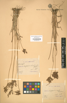 LE 01001319