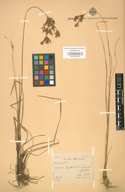 LE 01001320