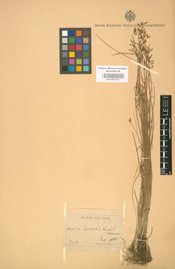 LE 01001321