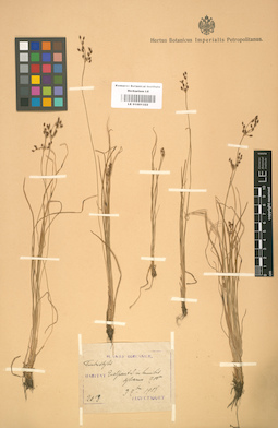LE 01001322