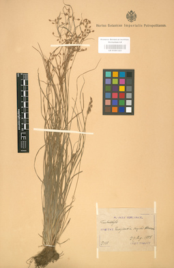 LE 01001323