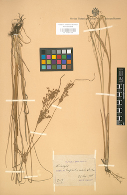LE 01001324