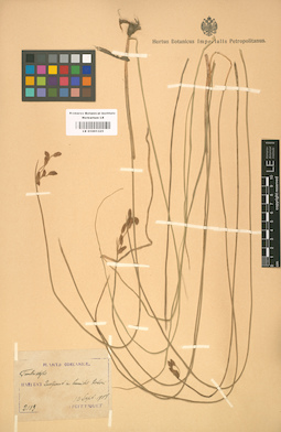 LE 01001325