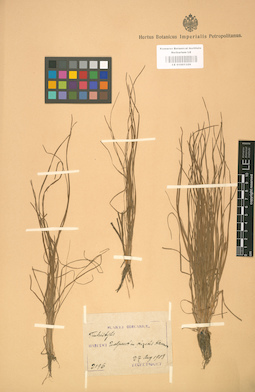 LE 01001326