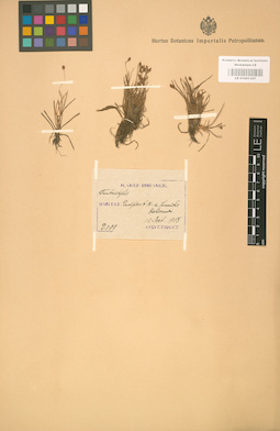 LE 01001327