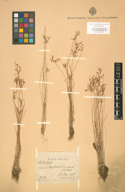 LE 01001328