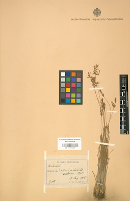 LE 01001330