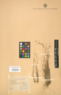 LE 01001331