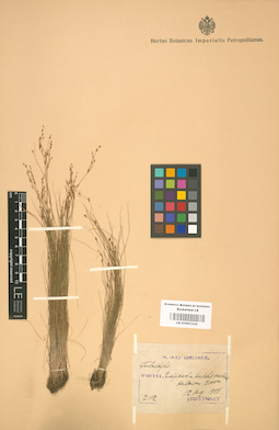 LE 01001332