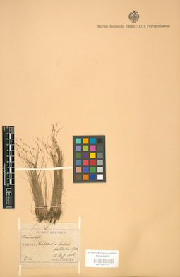 LE 01001333