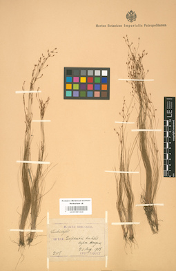 LE 01001334