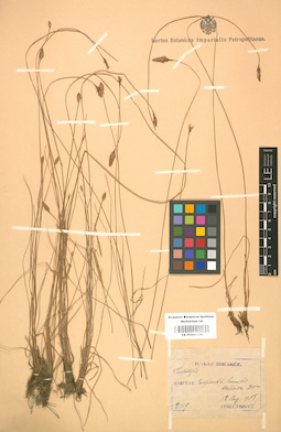 LE 01001336