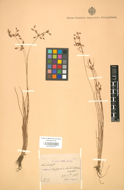 LE 01001337