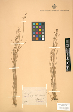 LE 01001338