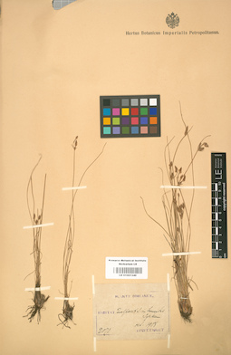 LE 01001340