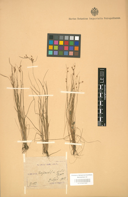 LE 01001343
