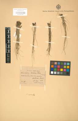 LE 01001346