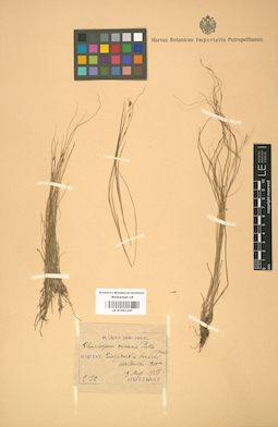 LE 01001347