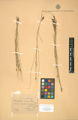 LE 01001348