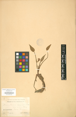 LE 01001352
