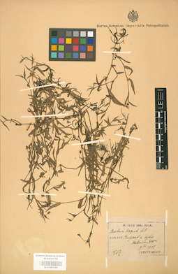 LE 01001359