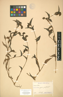 LE 01001360
