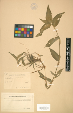 LE 01001361
