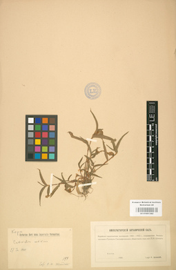 LE 01001362