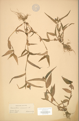 LE 01001363