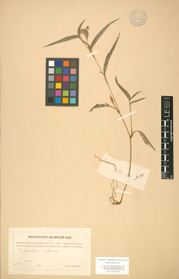 LE 01001366