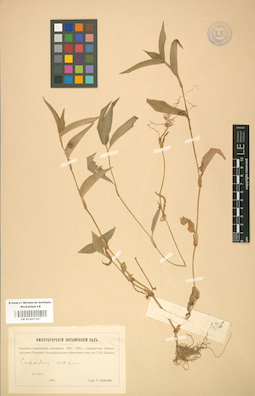 LE 01001367