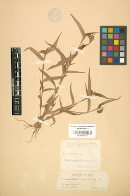 LE 01001371