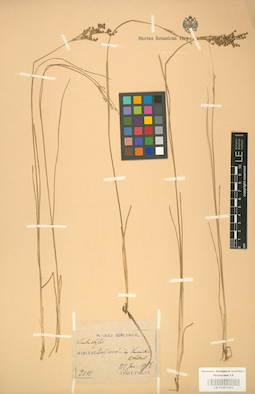 LE 01001411