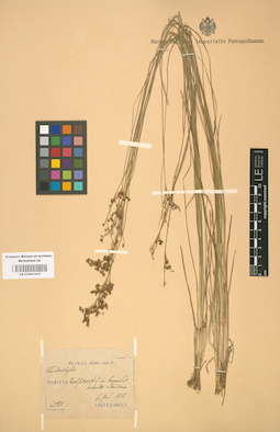 LE 01001412