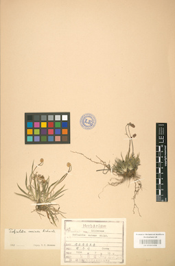 LE 01001438