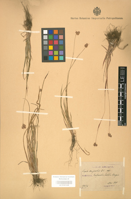 LE 01001448