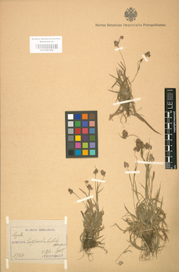 LE 01001450
