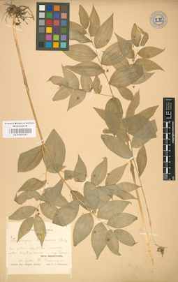 LE 01001513