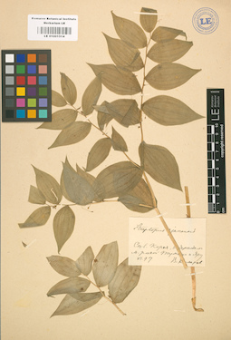 LE 01001514