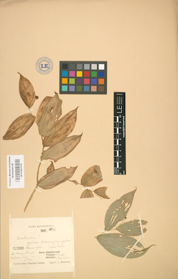 LE 01001516