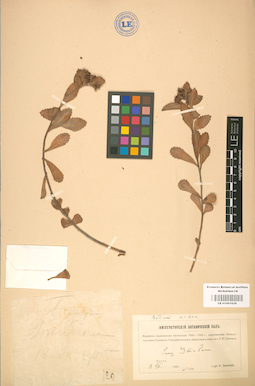 LE 01001629