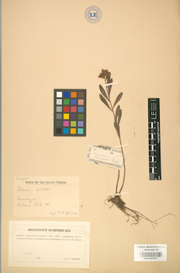 LE 01001631